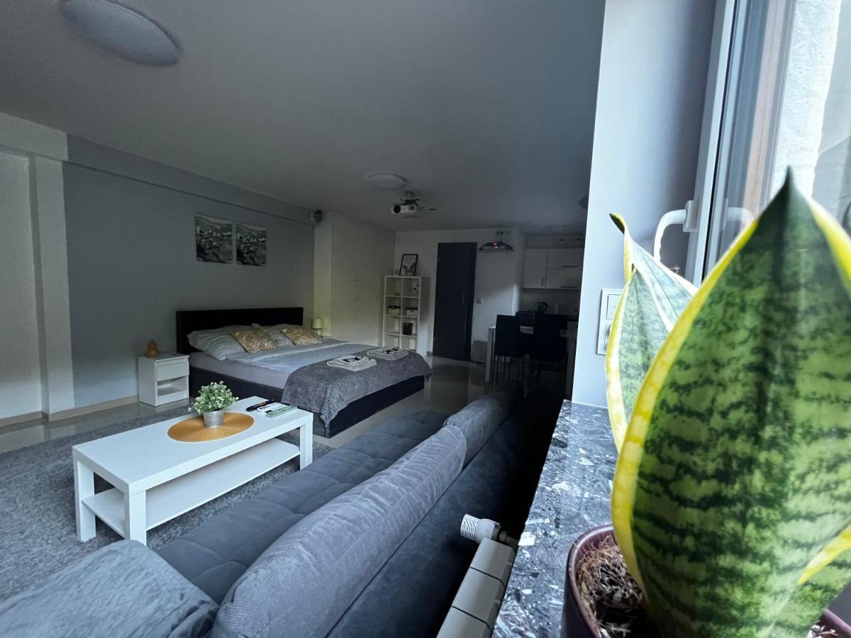Apartament Play Pietrzykowice  Eksteriør bilde